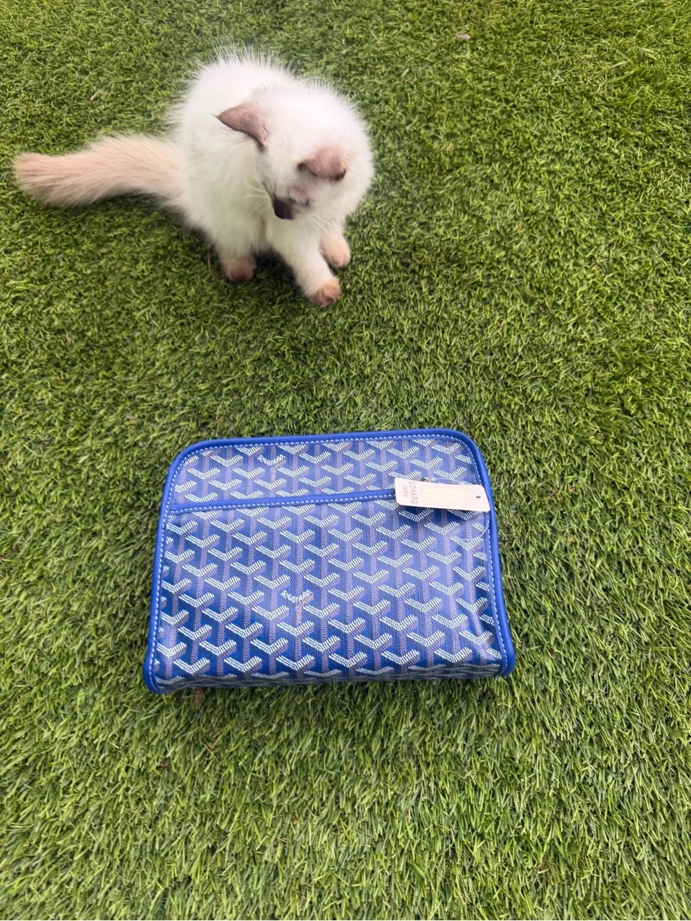 Blue Patterned Travel Pouch